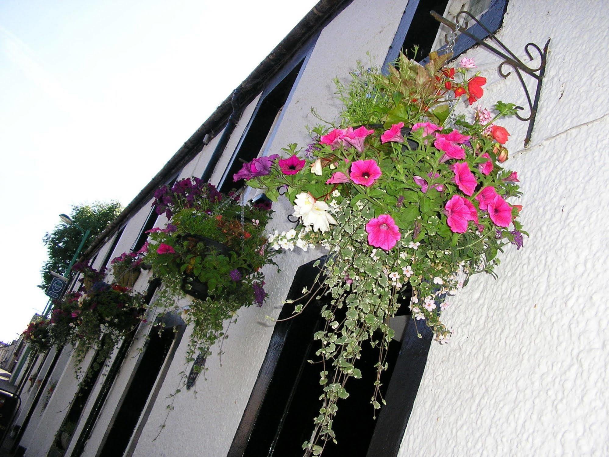 The Robertson Arms 3* Carnwath